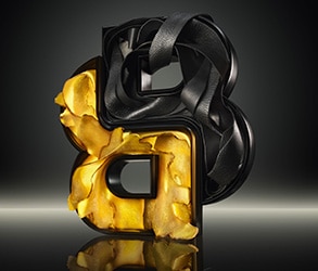 GRID 2-small 2_BOSS_Lxh_293x250px.jpg